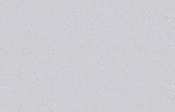 6 Rollen Erfurt Variovlies Style Tapete Glattvlies 90m² -Innentapete 1 Karton Erfurt Variovlies Style Struktur Tapete G