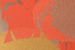 Tapete Andy Warhol - Flowers Lachsorange 7 Tapete Andy Warhol - Flowers Lachsorange -Innentapete 320221 1 Andy Warhol Flowers 2880x1440