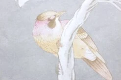 Tapete Verdura Cremeweiss Perlglanz 8 Tapete Verdura Cremeweiss Perlglanz -Innentapete 462891 B Verdura 2880x1440