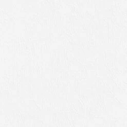 9 Rollen Erfurt Vliesfaser Maxx Feather 205 Premium 59,63m² 9 9 Rollen Erfurt Vliesfaser Maxx Feather 205 Premium 59,63m² -Innentapete Erfurt Vliesfaser Maxx Feather 205 Tapete Premium 6 63m 190830 2