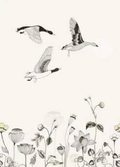 Fototapete Natur Blumen Creme Schwarz Onszelf 532005 -Innentapete Fototapete Natur Blumen creme schwarz Onszelf 5320