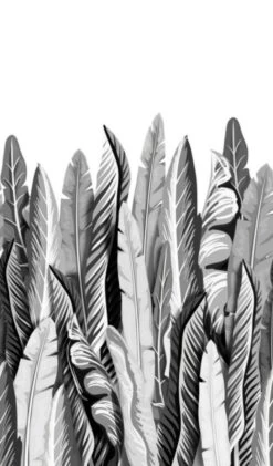 Fototapete Vlies Floral Pop-Art Blätter Grau Weiß 47207 6 Fototapete Vlies Floral Pop-Art Blätter Grau Weiß 47207 -Innentapete Fototapete Vlies Floral Pop Art Blaetter grau weiss 47207 63210658