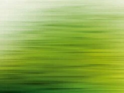 Titelseite -Innentapete Fototapeten Querstreifen Striche gruen Vlies 38261 1 63209639 1