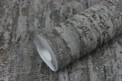 Tapete Vlies Rasch Birke Baumstamm Anthrazit 554076 10 Tapete Vlies Rasch Birke Baumstamm Anthrazit 554076 -Innentapete Tapete Vlies Rasch Birke Baumstamm anthrazit 554076 63211744 7