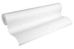 A.S. Creation XL Tapete Vlies Groß-Rolle Putz-Optik 3219-16 -Innentapete XL Tapete Vlies ueberstreichbar Grossrolle Putzs 1